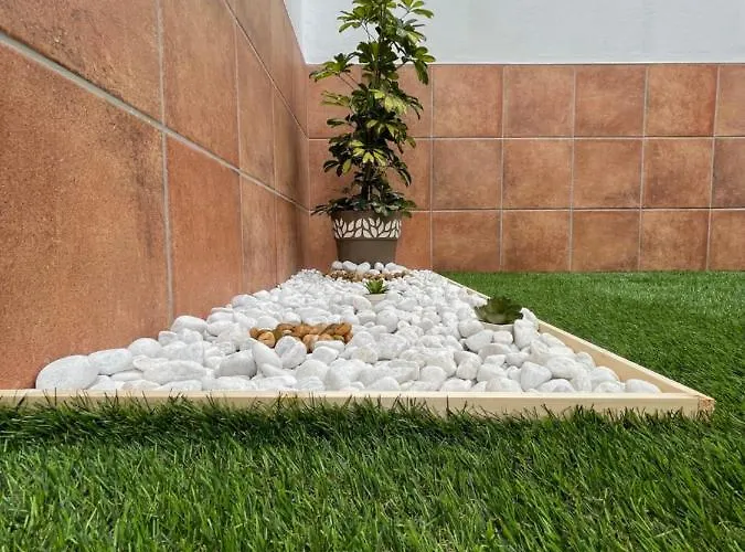 B-rent Digital Zen Wifi Free Corralejo