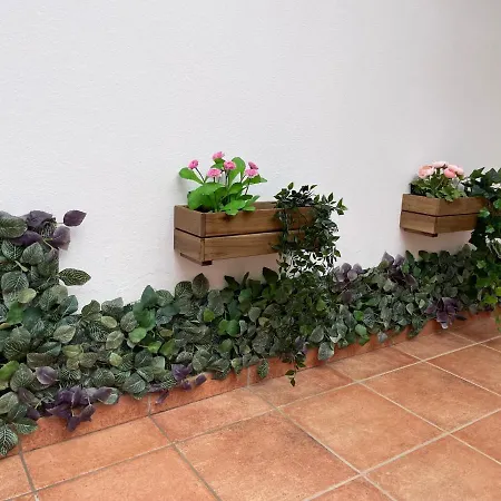 B-rent Digital Zen Wifi Free *