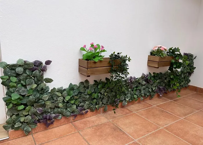 B-rent Digital Zen Wifi Free *